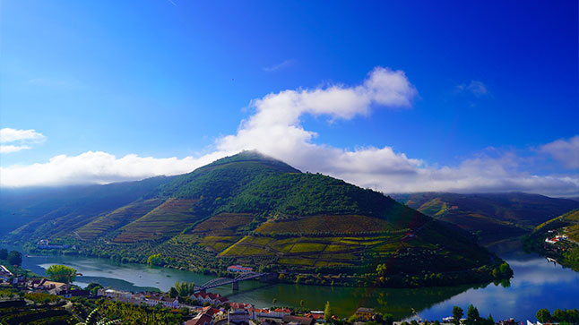 Douro River Valley in Portugal, showing luscious greenery and small town on the banks.